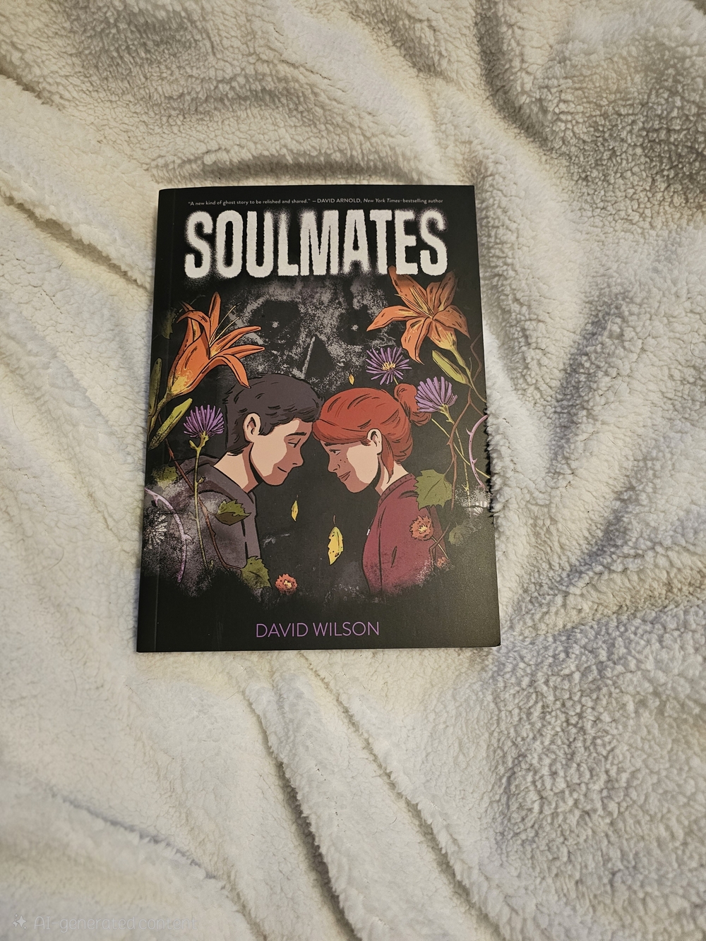 Brand New Soulmates Graphic Novel by David Wilson YA Fiction